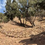img 20251006 wa0076